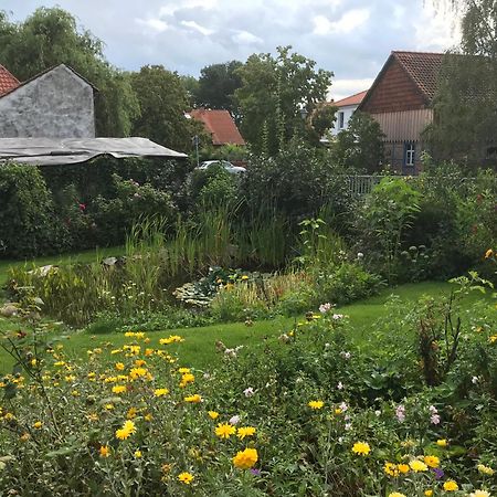 Schoene Gemuetliche Ferienwohnung Mit Kamin II Im Harz Darlingerode Zewnętrze zdjęcie