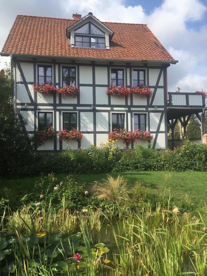 Schoene Gemuetliche Ferienwohnung Mit Kamin II Im Harz Darlingerode Zewnętrze zdjęcie