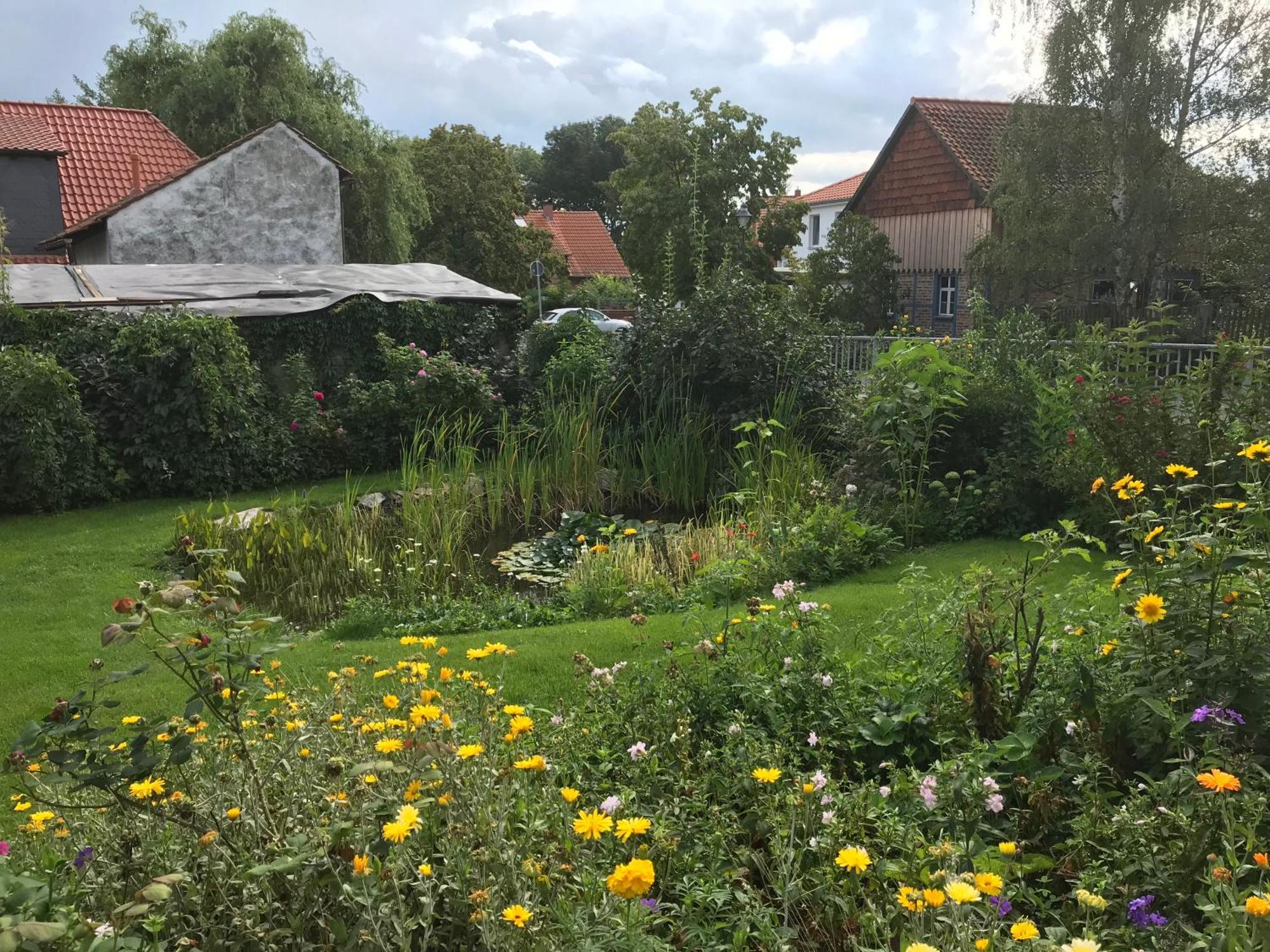 Schoene Gemuetliche Ferienwohnung Mit Kamin II Im Harz Darlingerode Zewnętrze zdjęcie